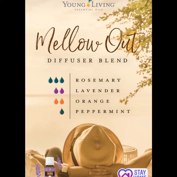 Meet your Posher, Tina - Picture 2 of 7